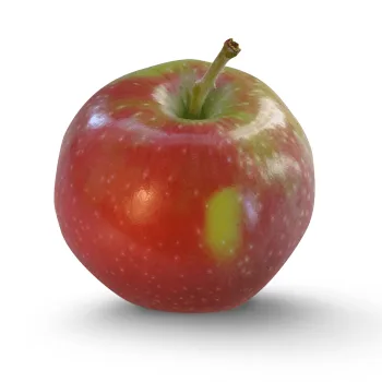 Jersey Mac Apples