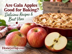 Are Gala Apples Good for Baking? Recipes, Tips & Best Uses