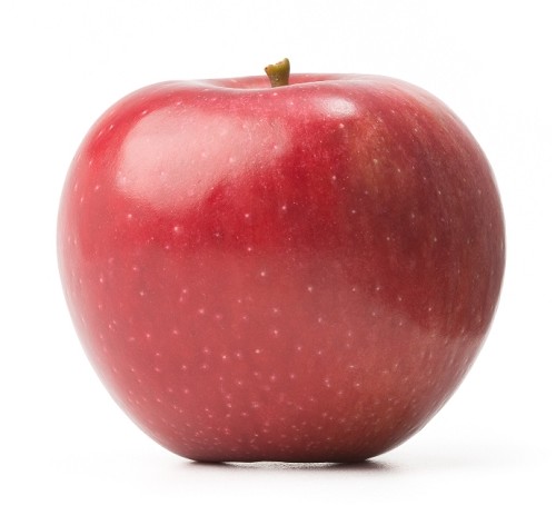 Winesap Apple 