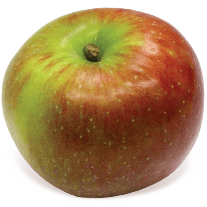 Baldwin apple 