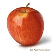 Gala Apple 