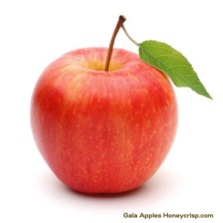 Gala Apple 