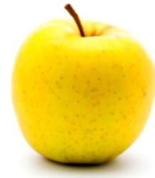 Pale yellow Silken apple 