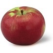 McIntosh apple 